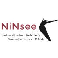 NiNsee logo